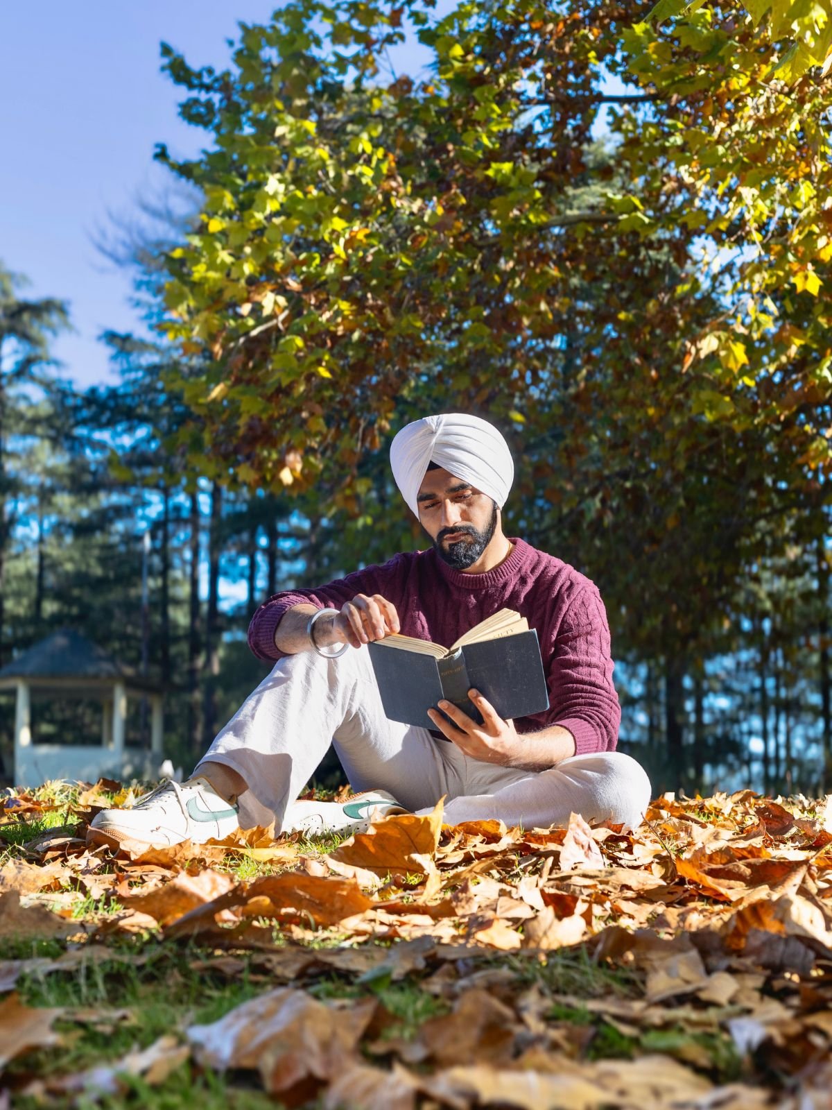 Snehdeep Singh Kalsi - portrait